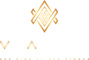 Logo VivArdent